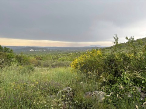 Obilježavanje Svjetskog dana zdravlja