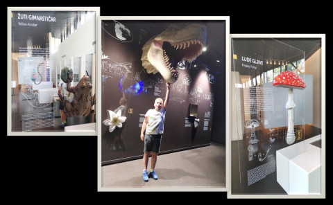 Područna služba Požeško-slavonska organizirala je završni izlet očeva i djece programa „Rastimo zajedno i dalje“